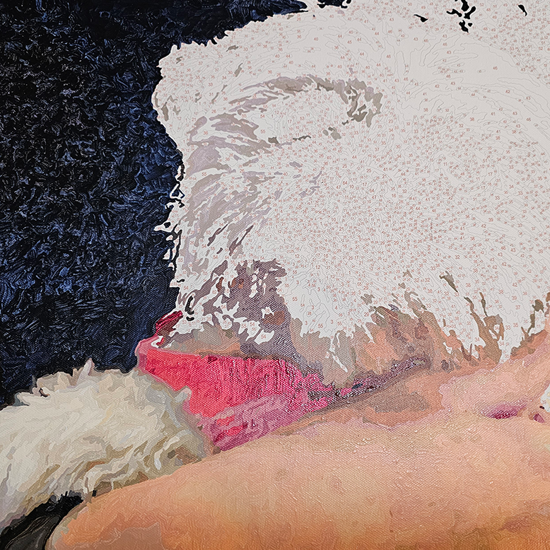 Custom Paint by number In Progress