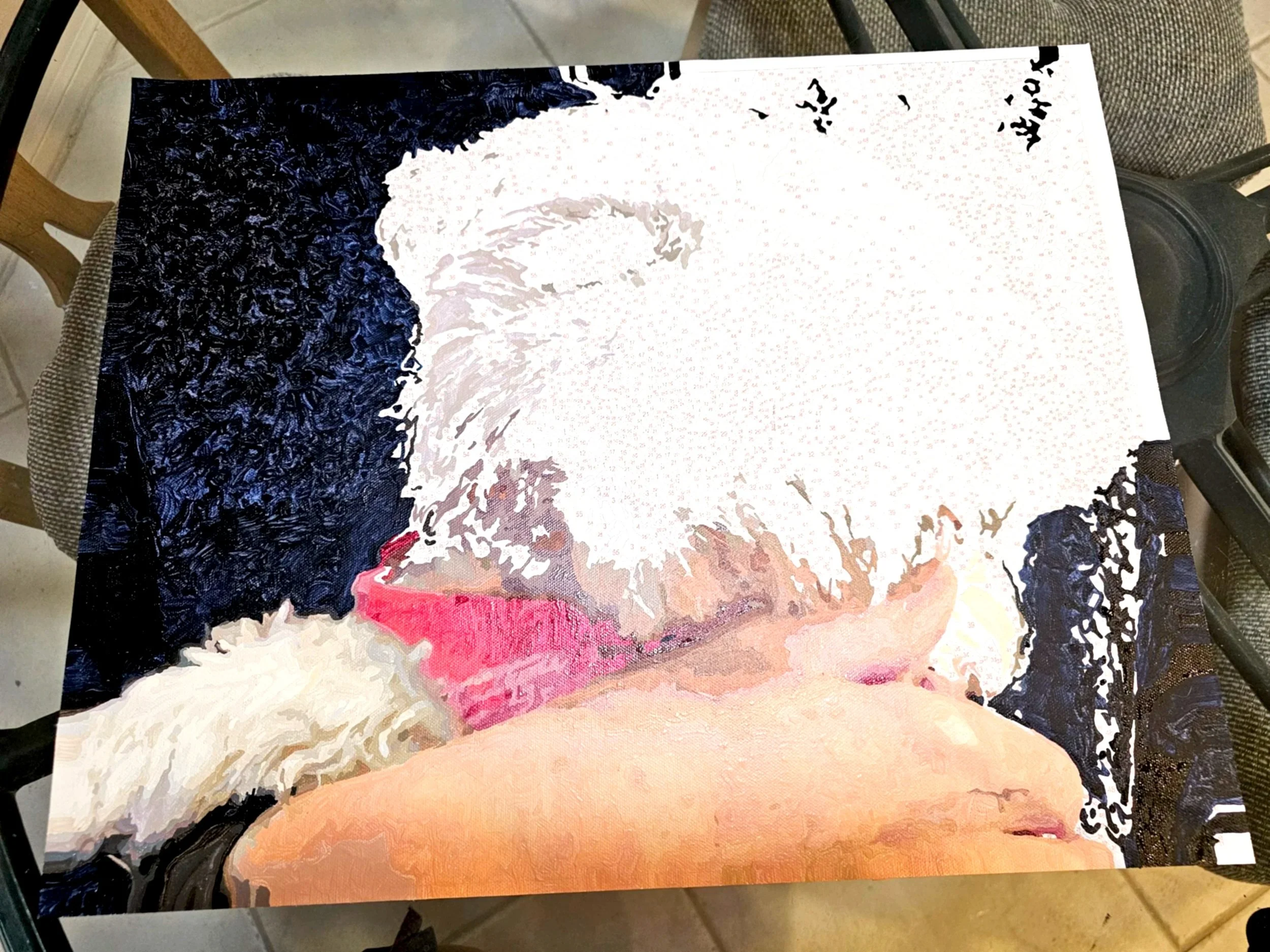 Custom Paint-by-Number Kit