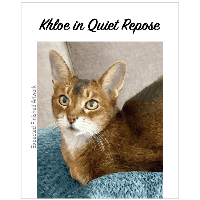 Custom Paint-by-Number Kit