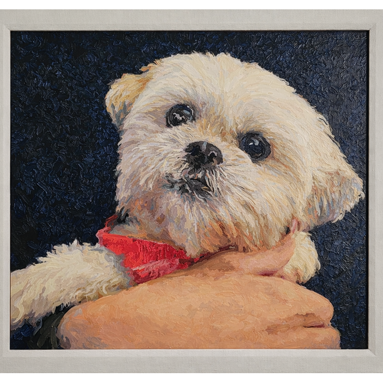 Custom Paint by Number Finished