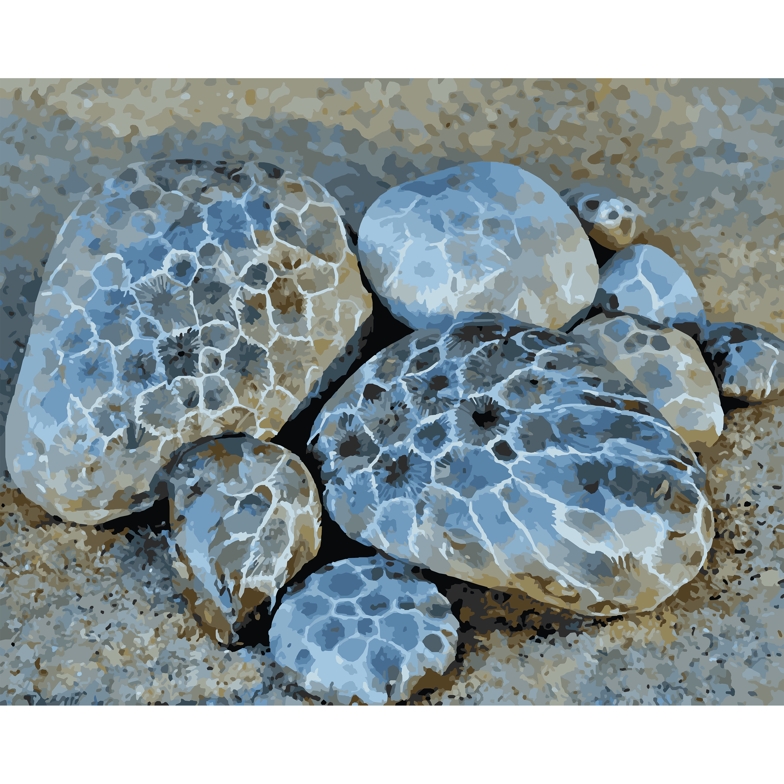 A Gathering of Petoskey Stones Paint-By-Number Kit