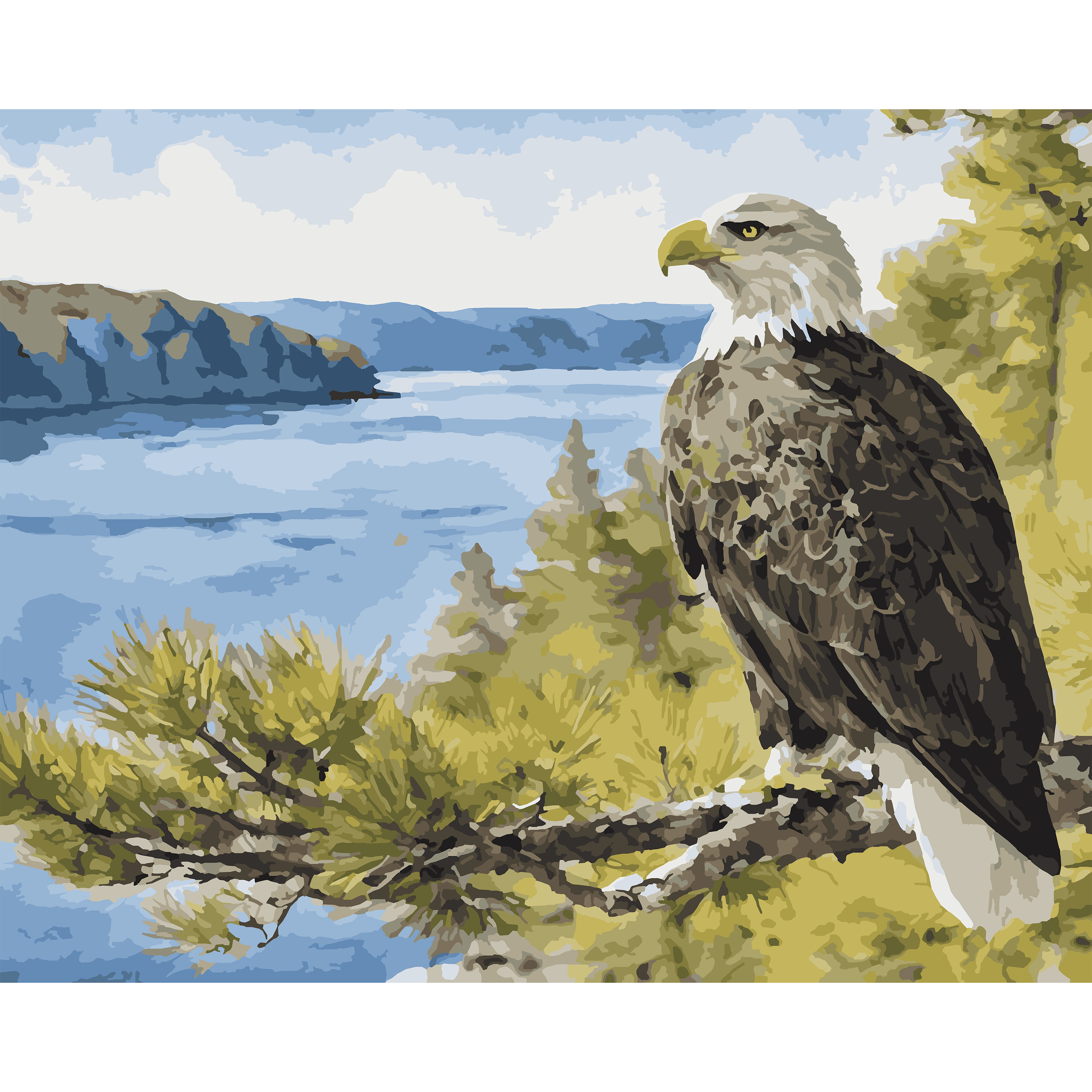 Bald Eagle Over Pine Ridge Lake - Michigan Paint-By-Number Kit