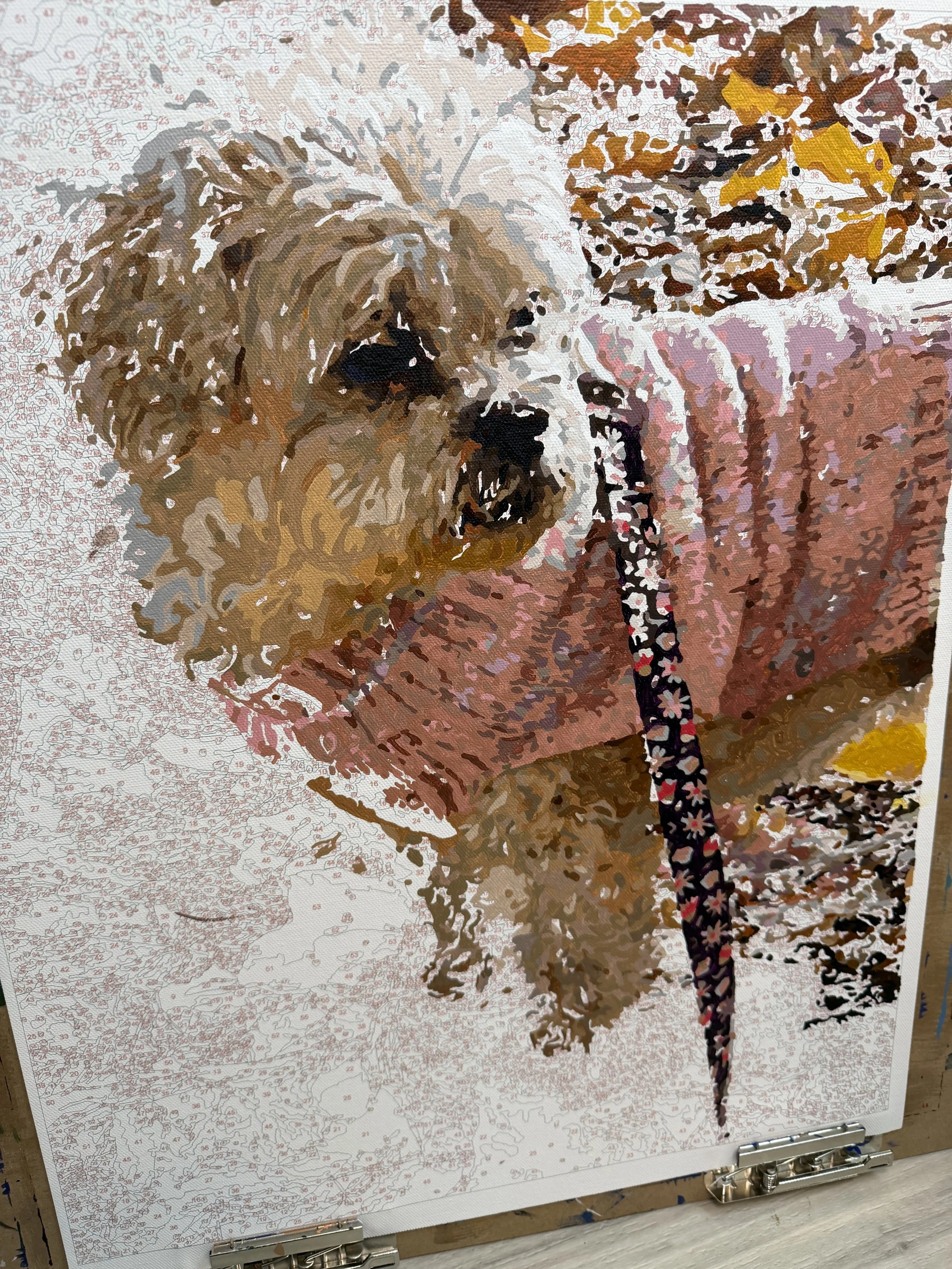 Custom Paint-by-Number Kit