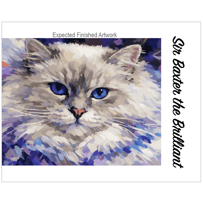 Custom Paint-by-Number Kit