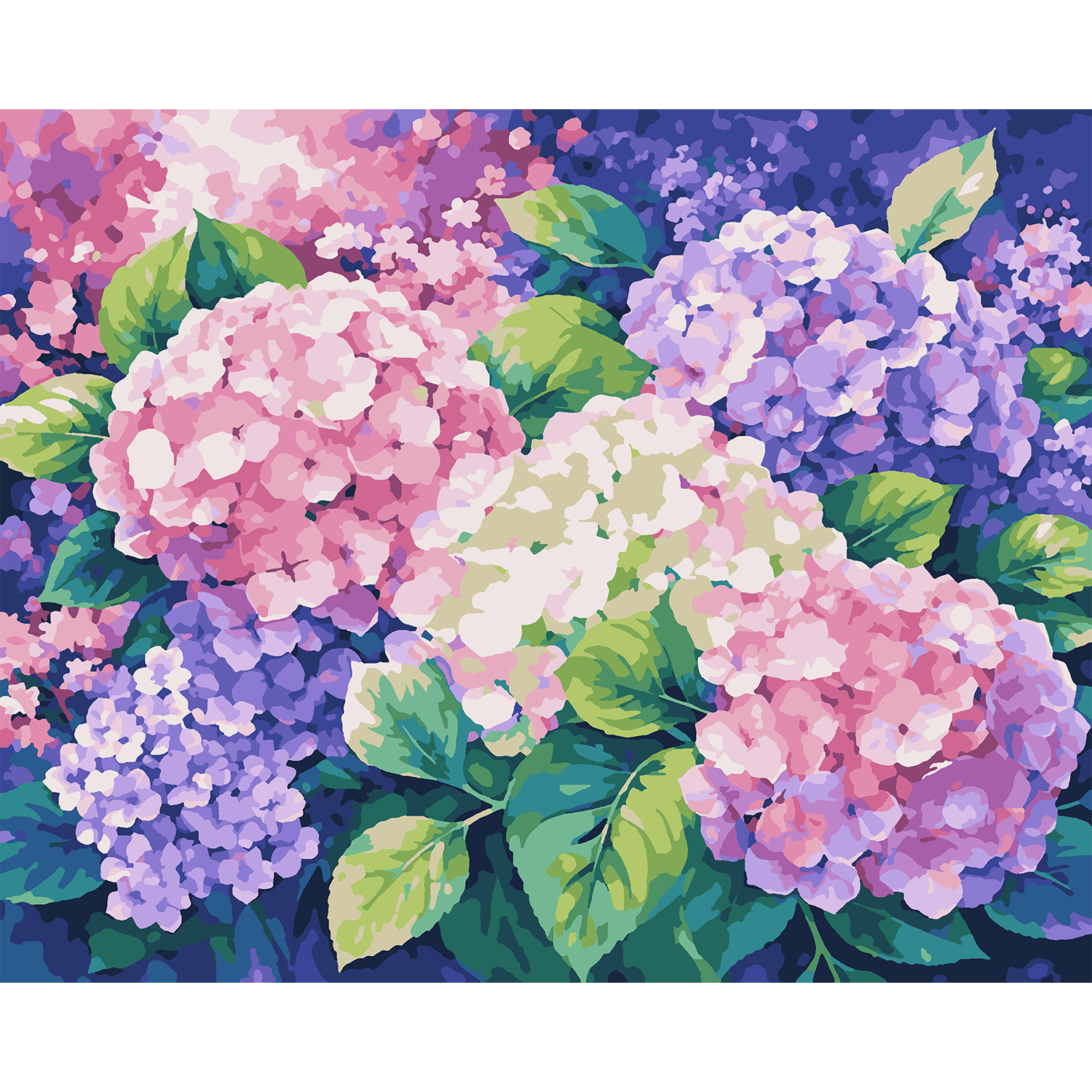 Dreamy Hydrangeas - Flower Paint-By-Number Kit