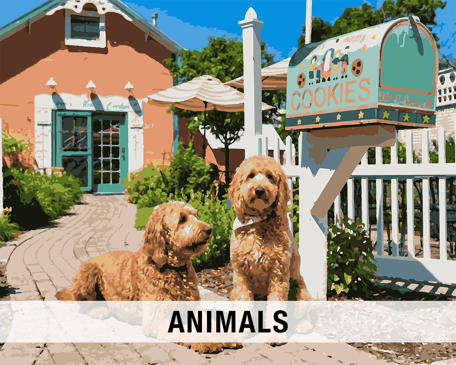 Animals of the Great Lakes Paint-by-Number Kits