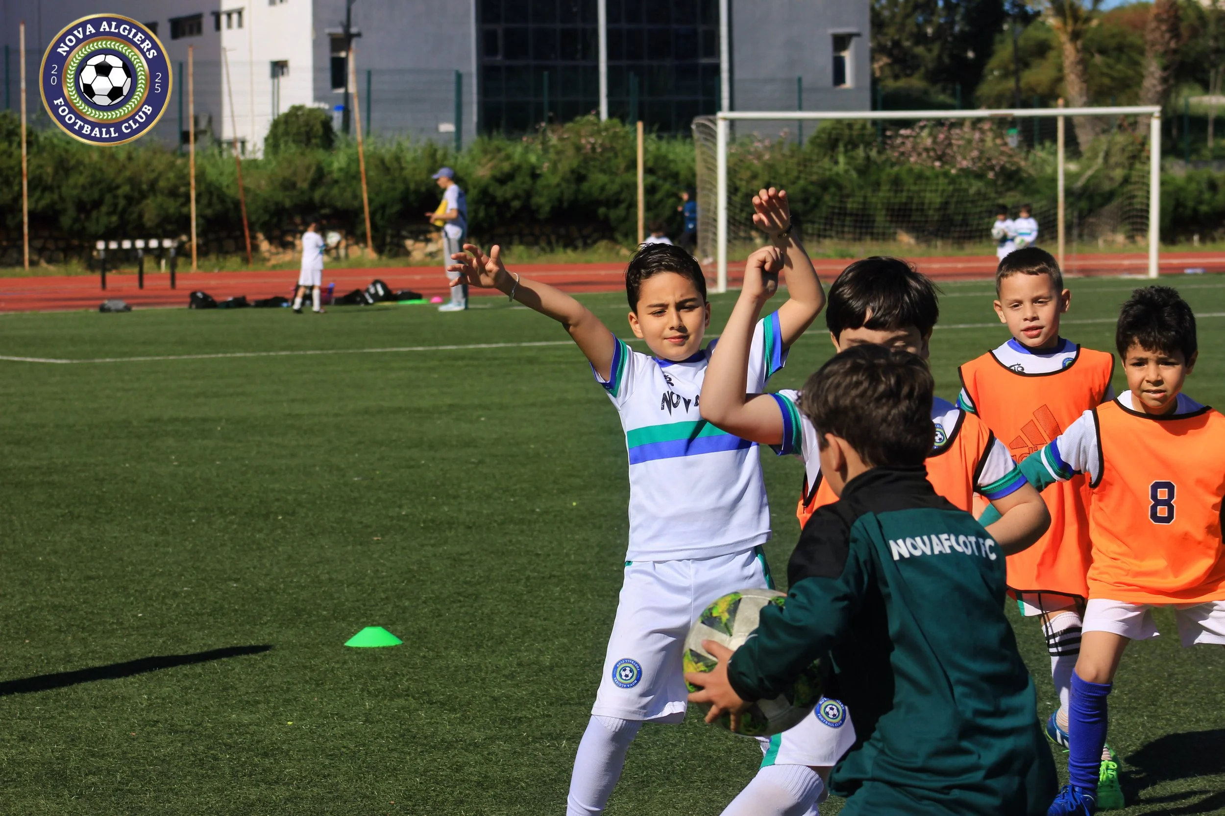 IMG_232421_0.jpeg
