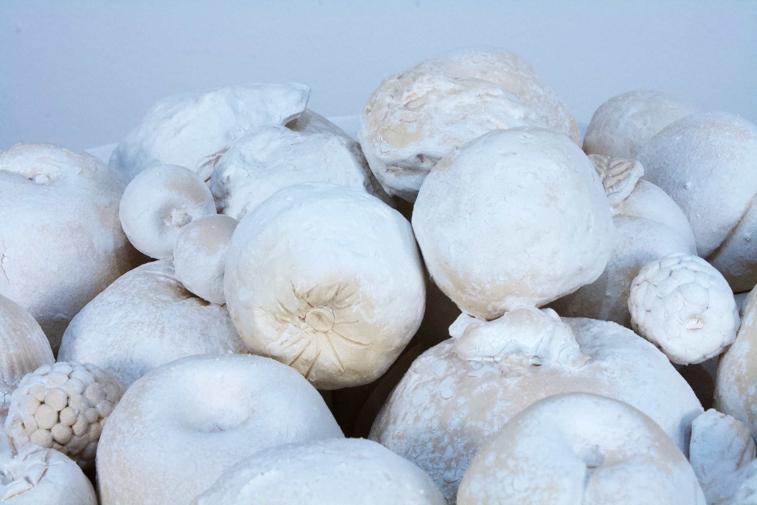  Stone Fruit I , detail, 7.25" x 10.25" x 10.25"		Low-fire White, 2024	