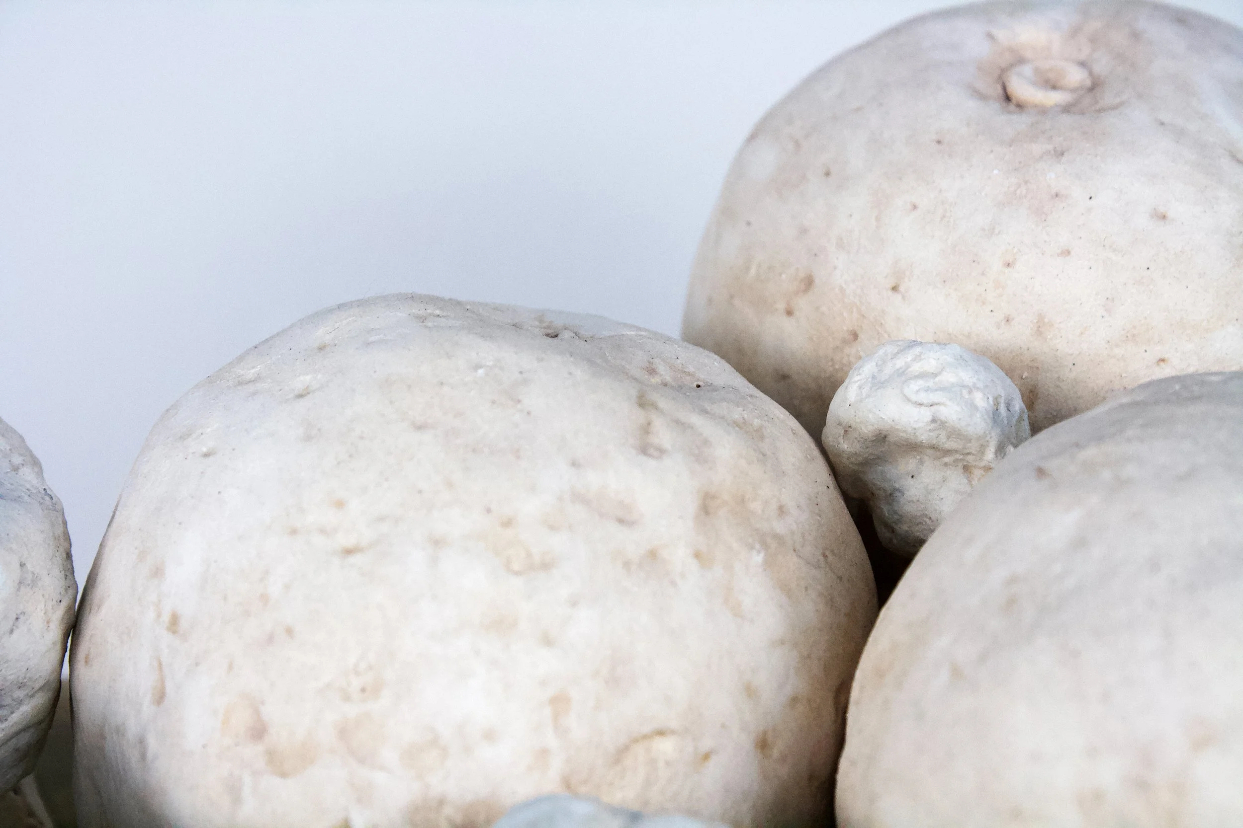  Oranges & Stones ,  detail, 6" x 10" x 7.5", Low-fire White, 2025		