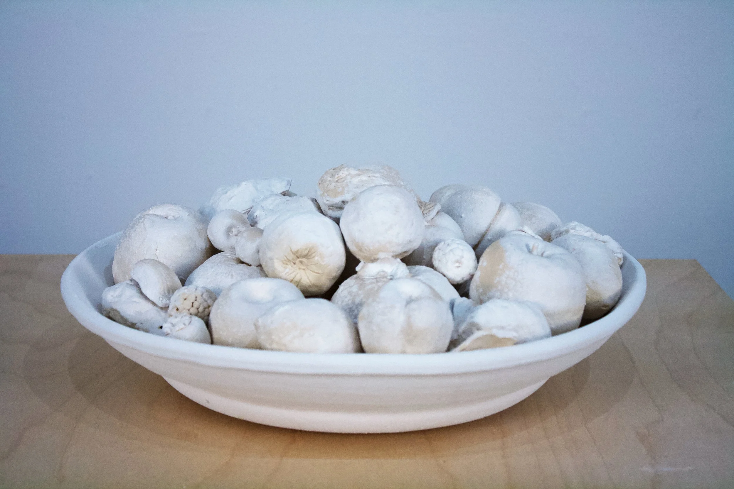  Stone Fruit I , 7.25" x 10.25" x 10.25"		Low-fire White, 2024																					