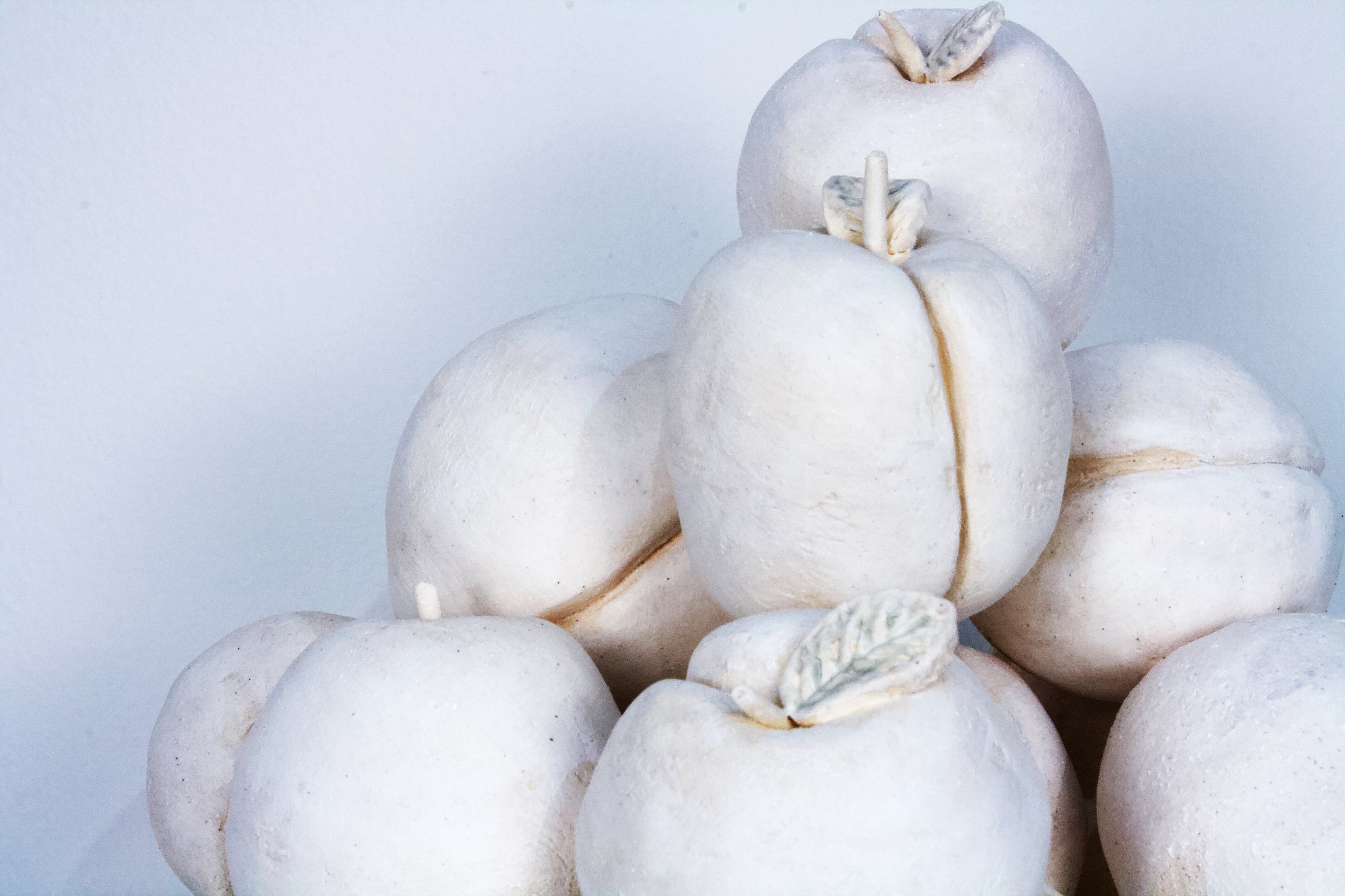  Tray with Plums , detail, 5" x 8.5" x 7", Low-fire White, 2025	