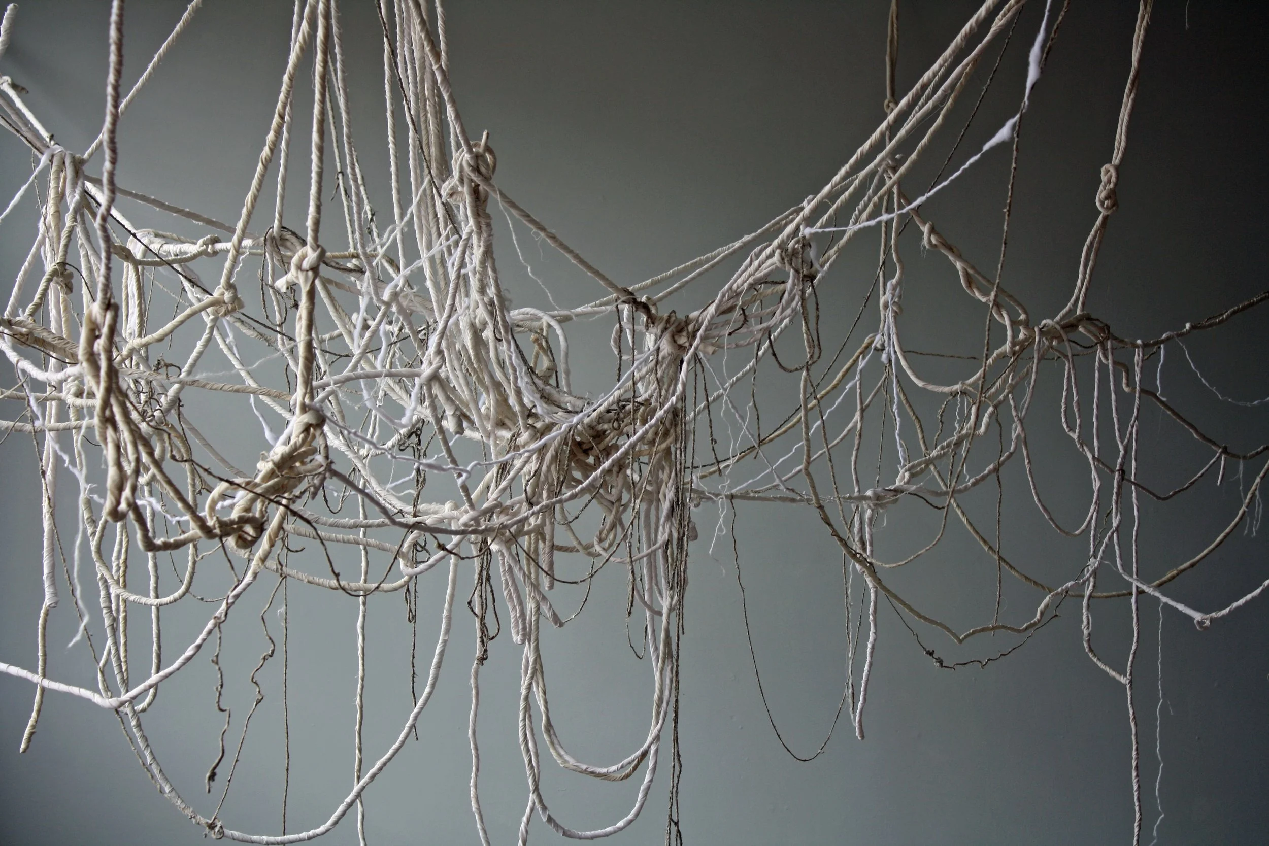 Hanging Garden, variable, rope, fabric, jute, batting, paper maché, yarn, 2009
