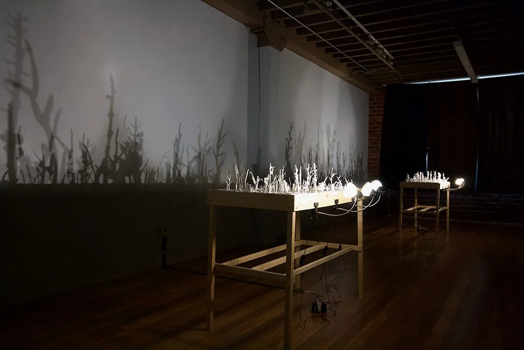  With a Whimper , Installation at a variable size, Porcelain Paper Clay, Wood, Lights, 2023																				