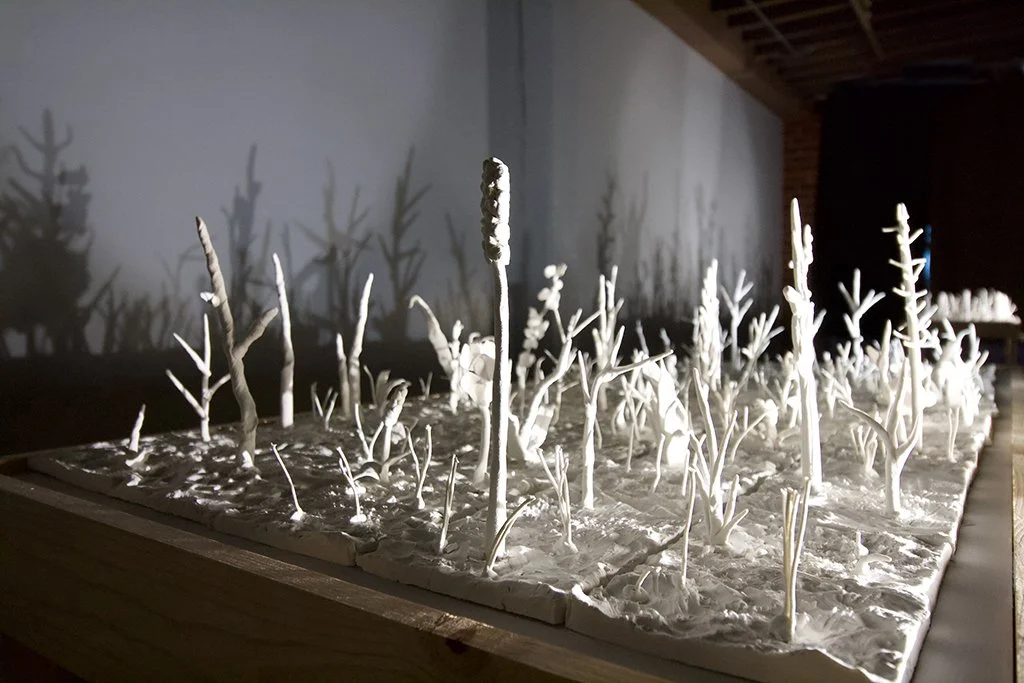 With a Whimper , detail, Installation at a variable size, Porcelain Paper Clay, Wood, Lights, 2023	