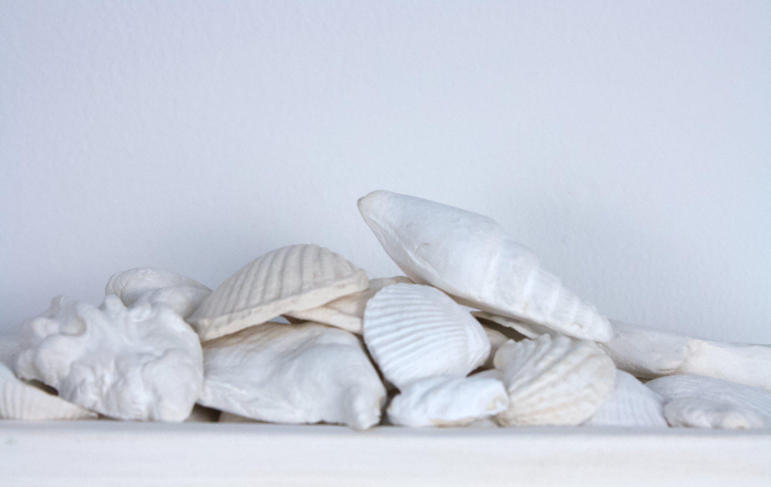 Tray with Seashells, 2" x 9" x 3.5", White Earthenware, 2025