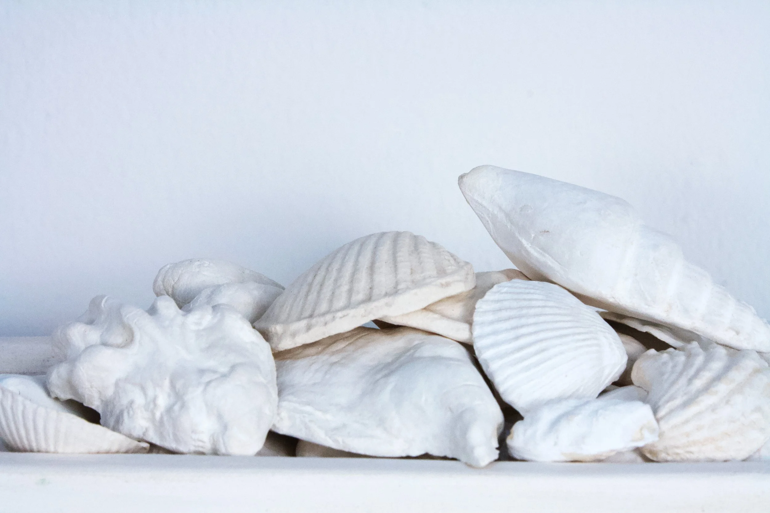  Tray with Seashells , detail, 2" x 9" x 3.5", Low-fire White, 2025		