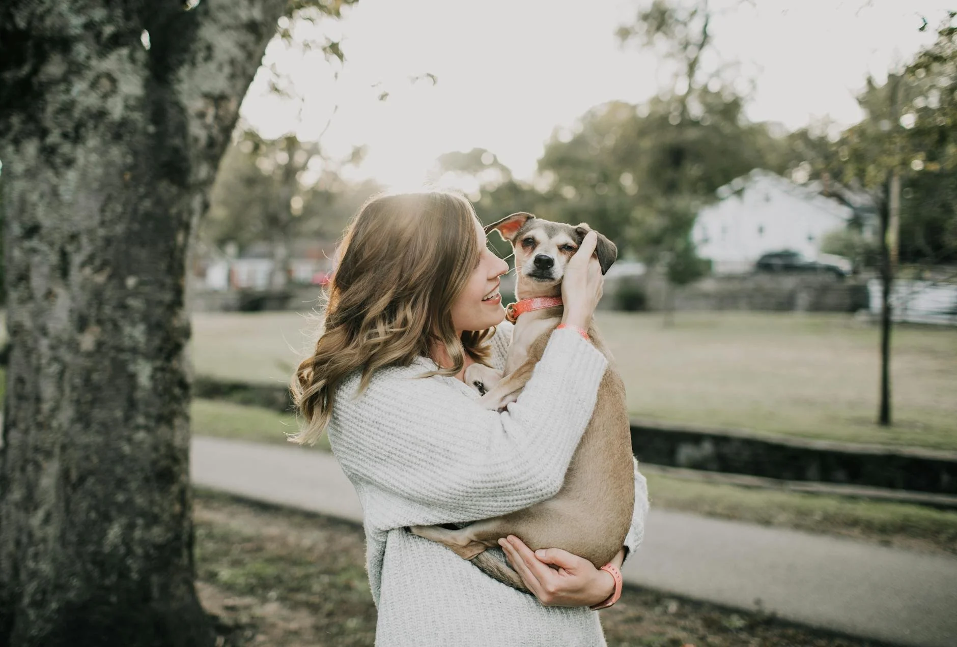 A woman holding a small dog in an outdoor park at sunset.