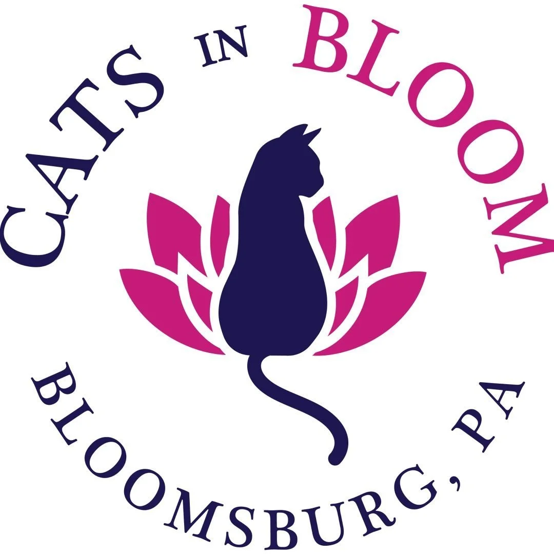 Cats in Bloom