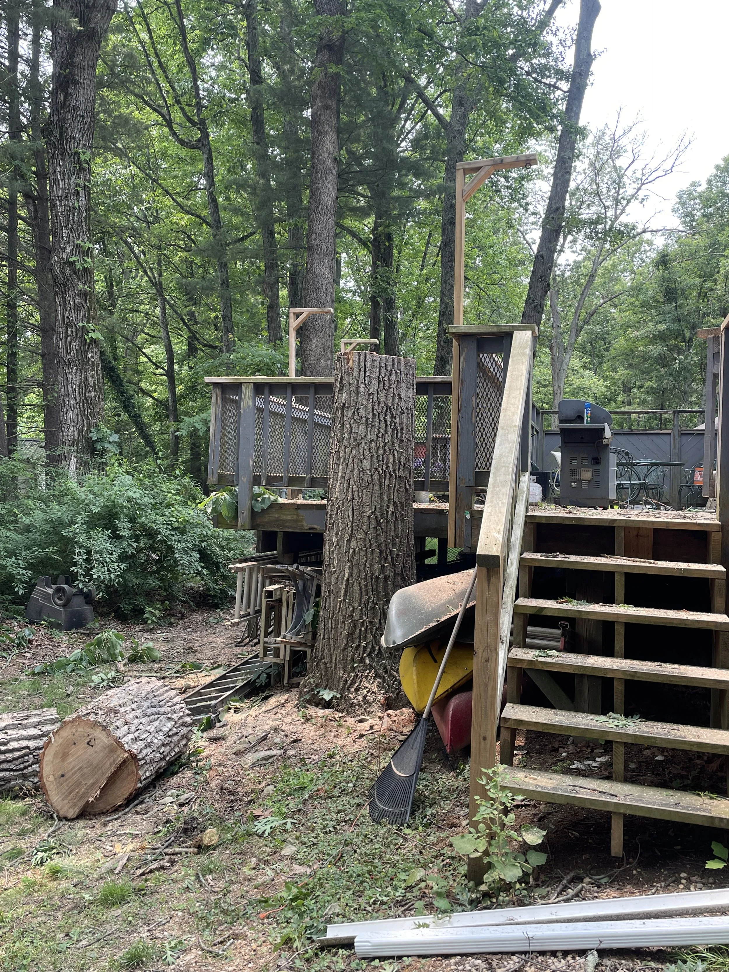 View of a wooden deck in a forested area with trees, a slide, and kayaks leaning against the stairs.