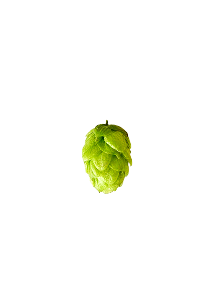 Stirling Profile.png