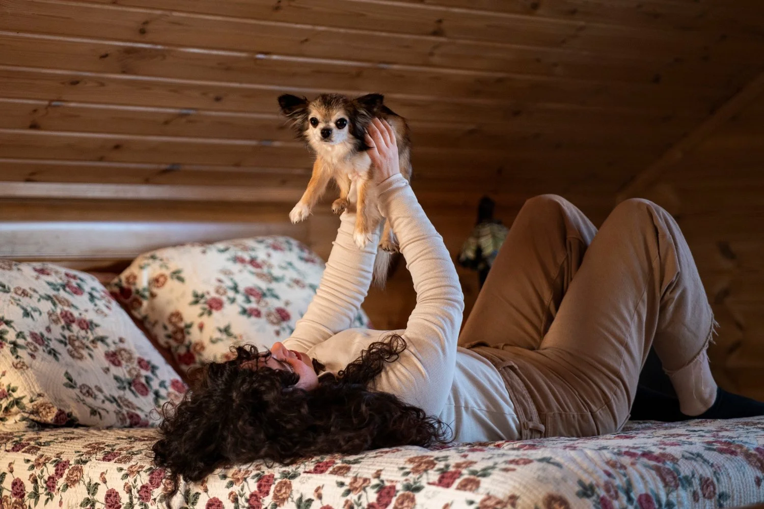 Dog-Friendly Smoky Mountain Cabin Weekend: Booking, Fees, Safety, Dining