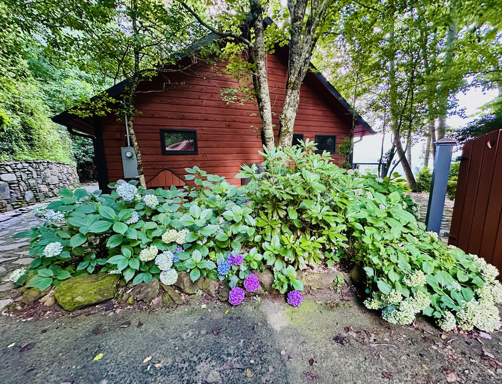 Screenshot 2025-07-25 at 10.33.51 AM.png