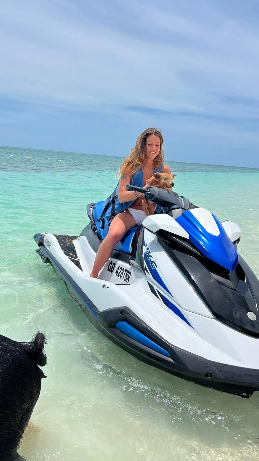 JETSKI PIGS.jpeg