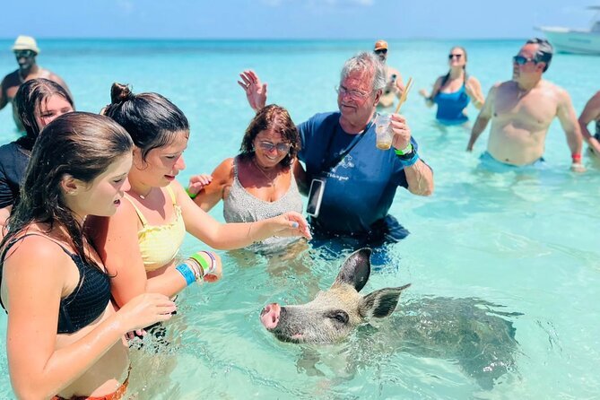 Best Things To Do in Freeport, Bahamas: Boat Tours, Jet Skis &amp; Swimming Pigs