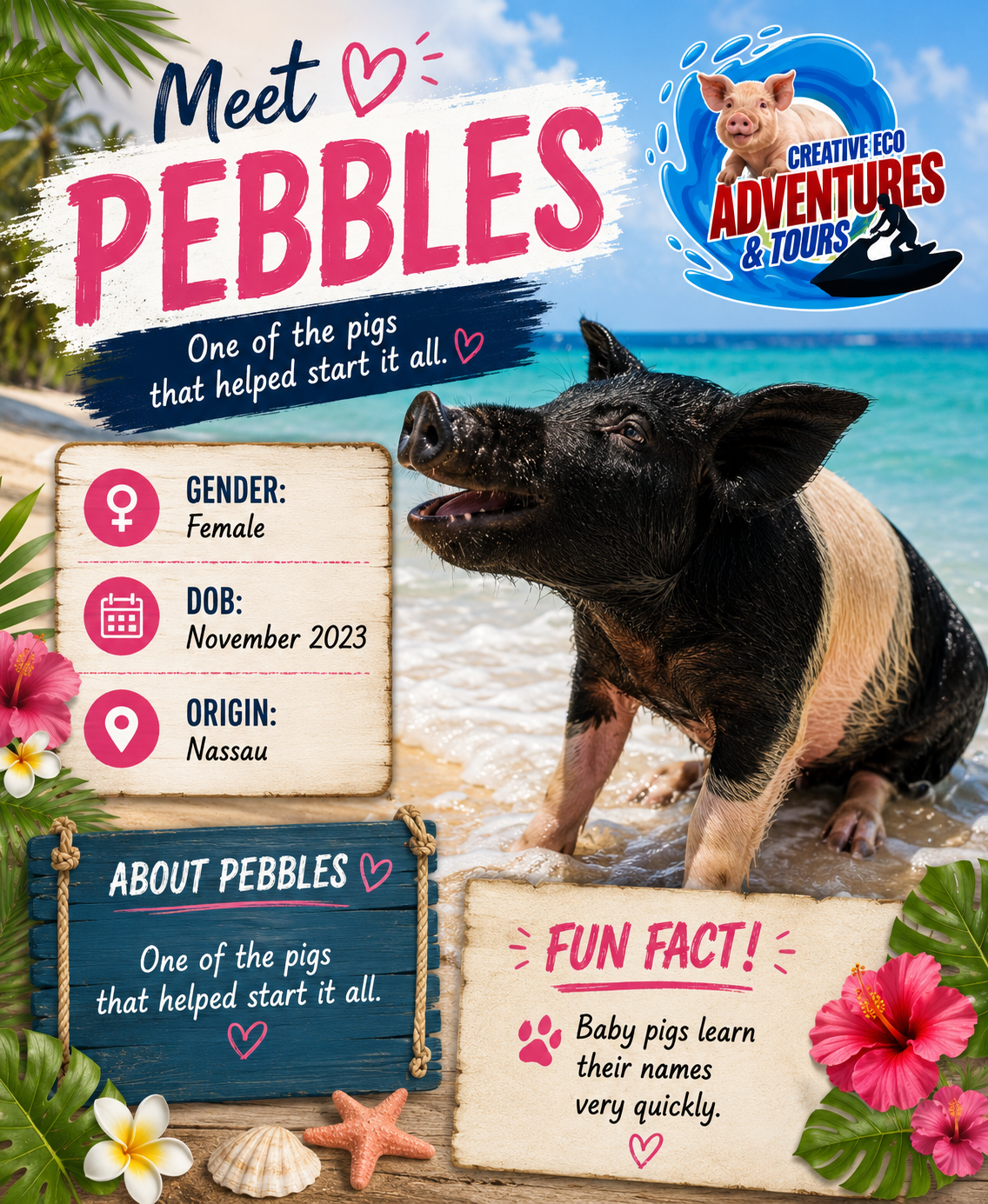 PEBBLES FINAL DRAFT.png