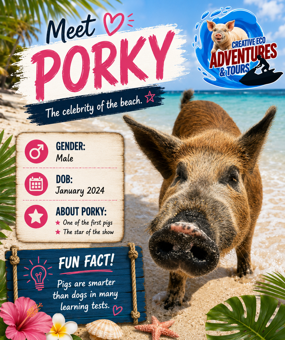 PORKY FINAL DRAFT.png