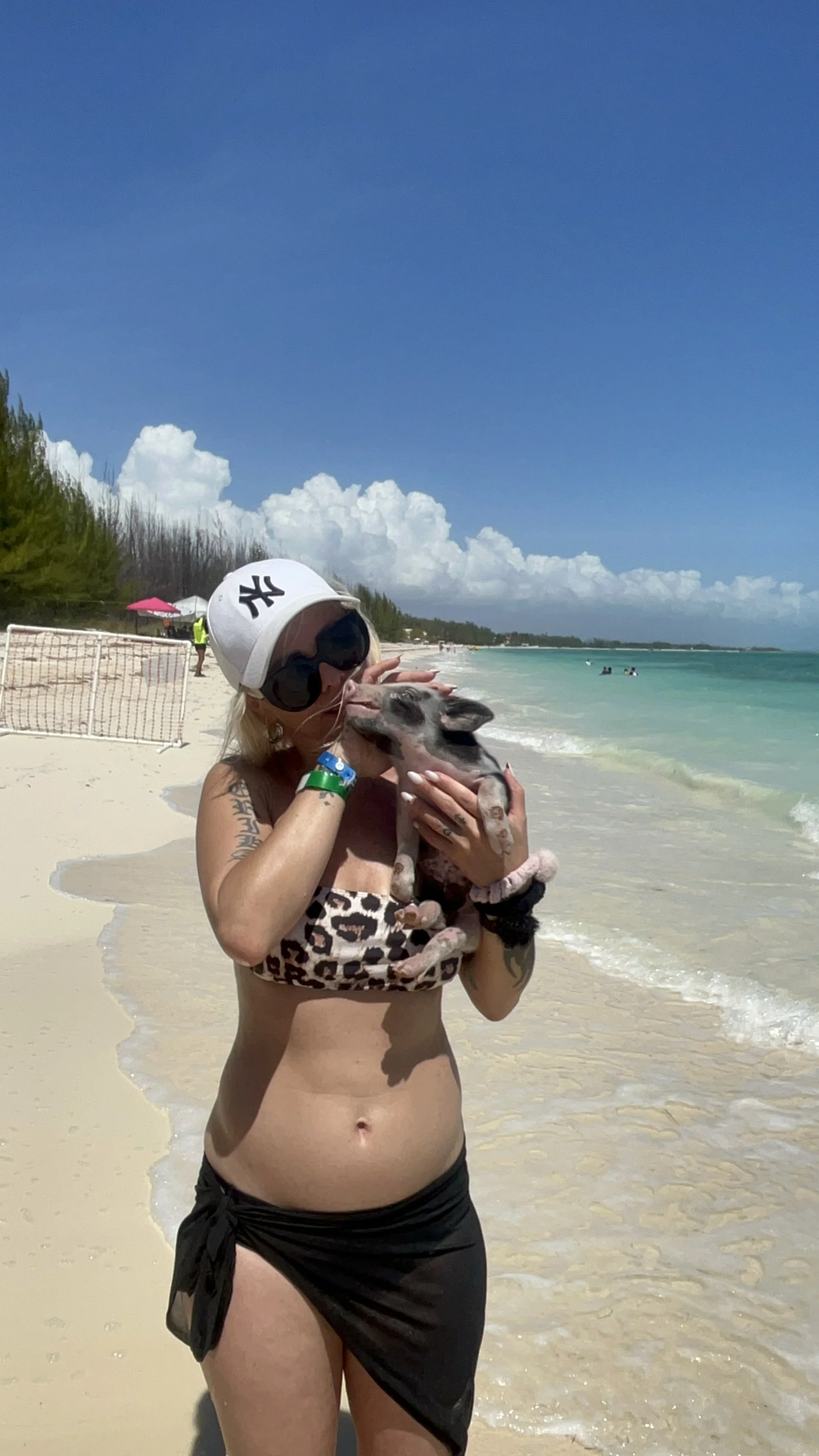 swimpigs2.jpg