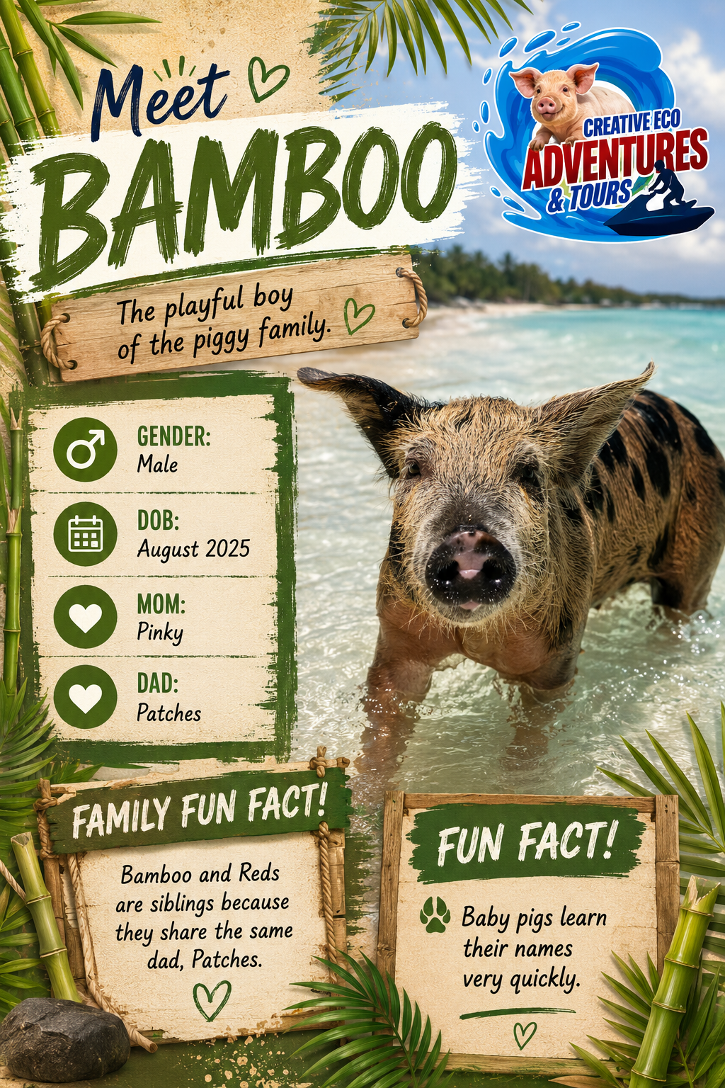 BAMBOO FINAL DRAFT.png