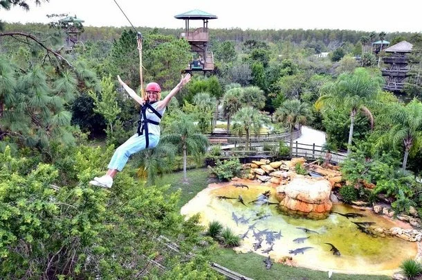 Brevard Zoo and Linear Park