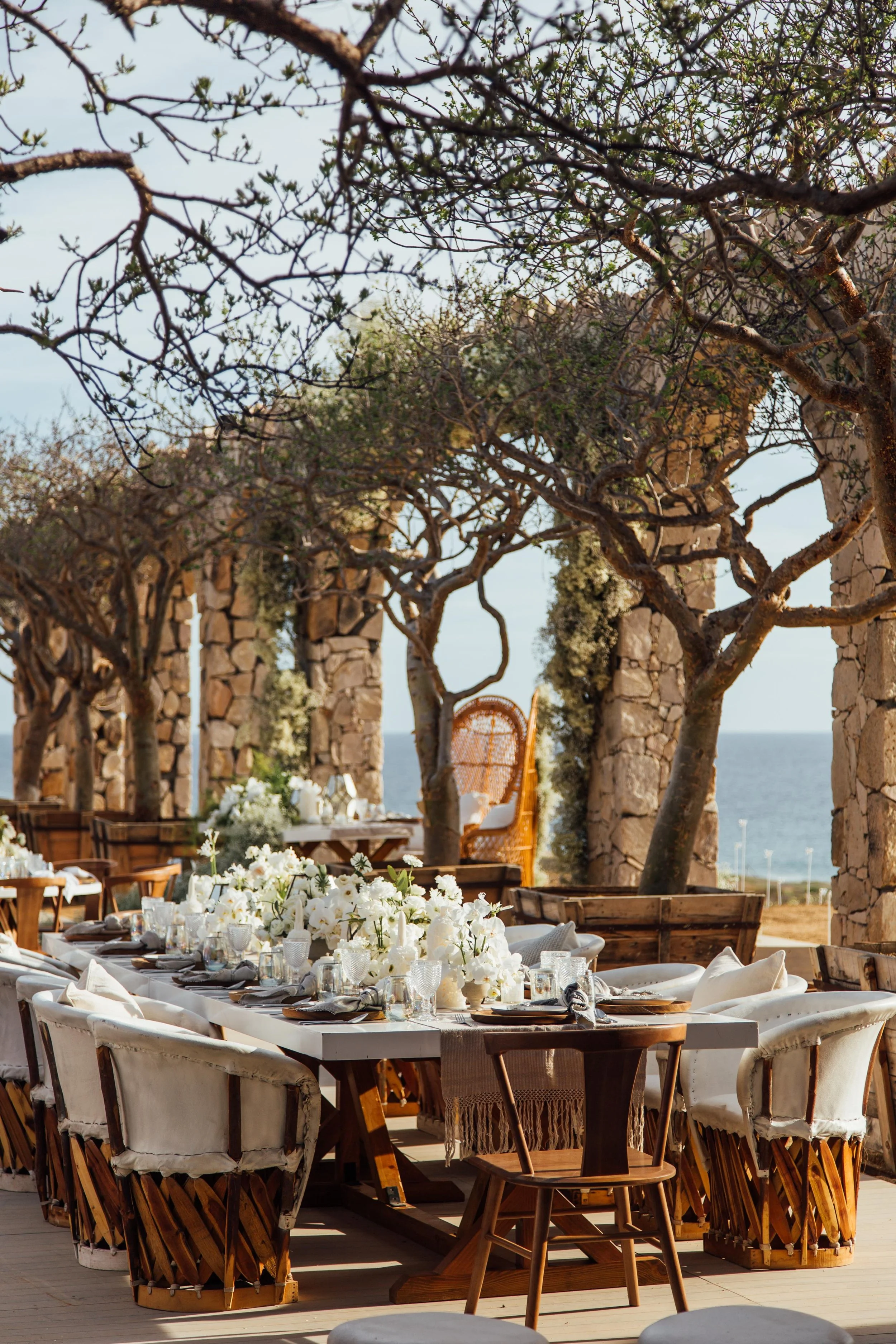 WhatsApp Image 2025-11-20 at 10.49.00.jpeg