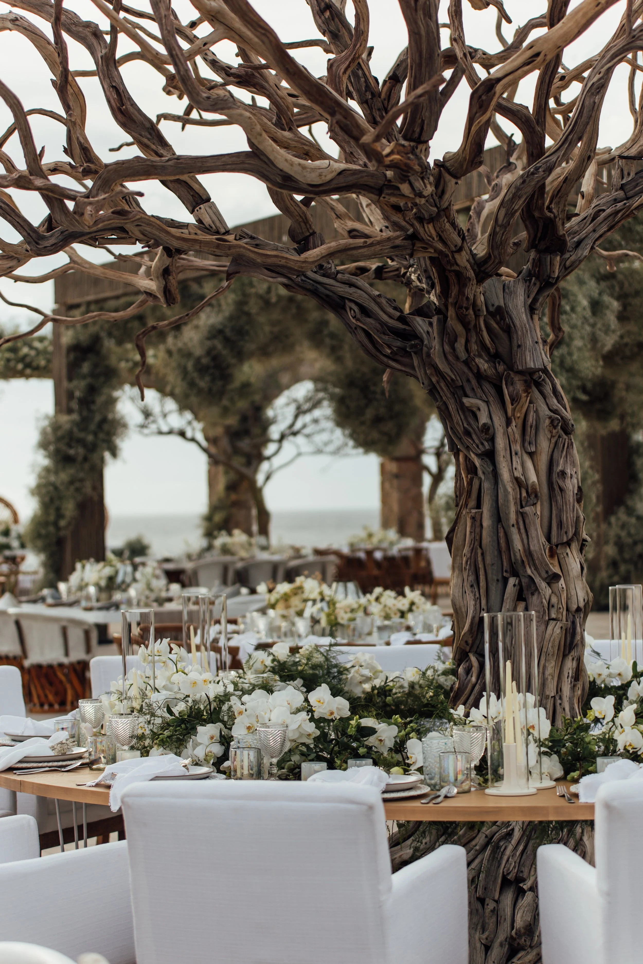 20181124-EDMI-cabo-san-lucas-wedding-romanalilic-LA76-photography-340.jpg