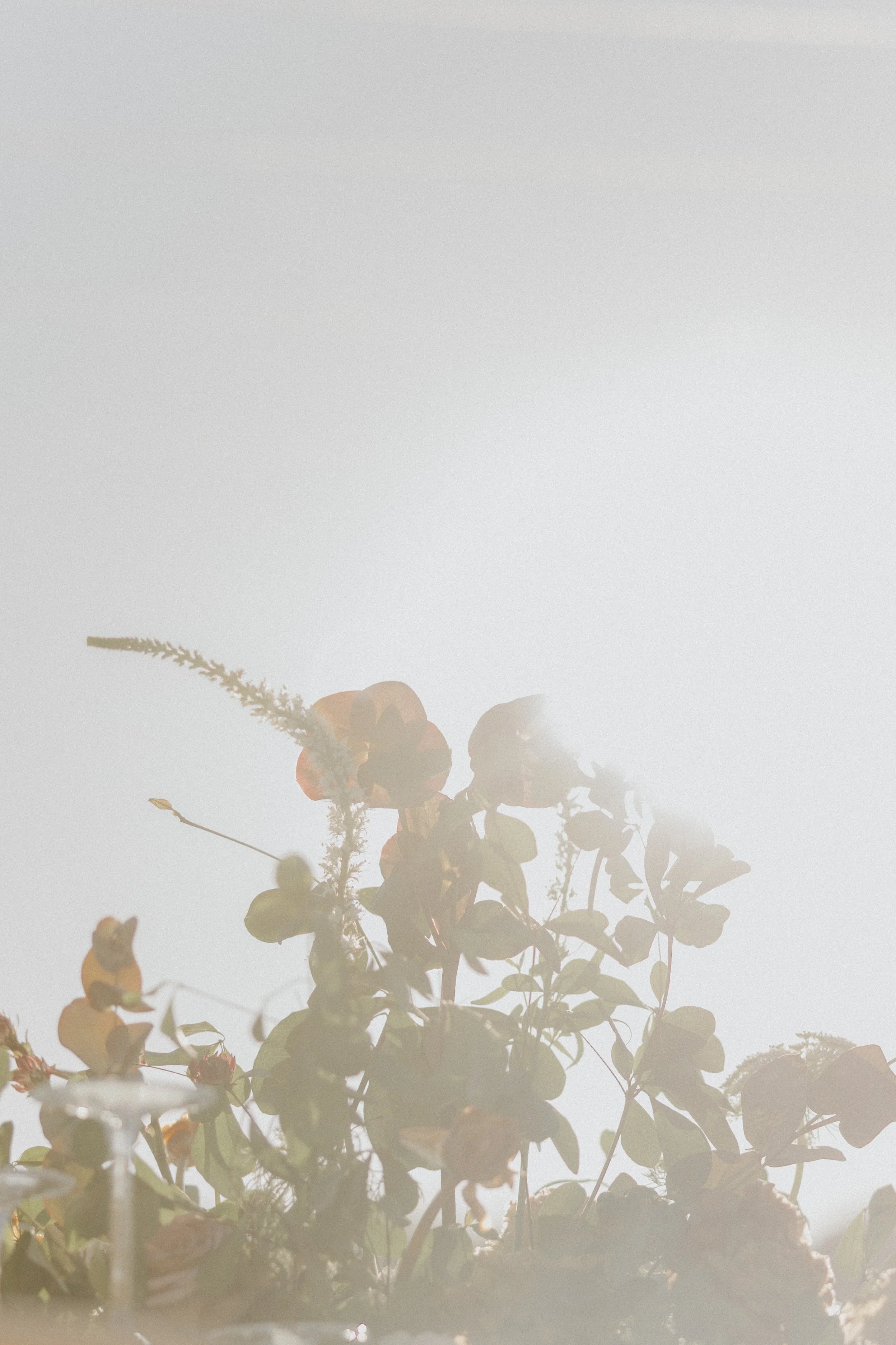 GABRIELLE & IAN_GABY BOLIVAR PV-54.jpg