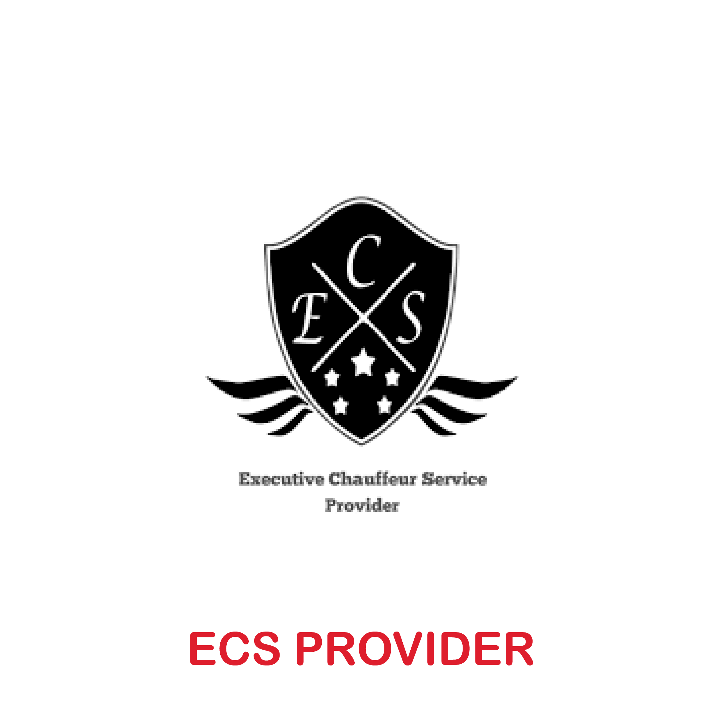 ECS-PROVIDER.png