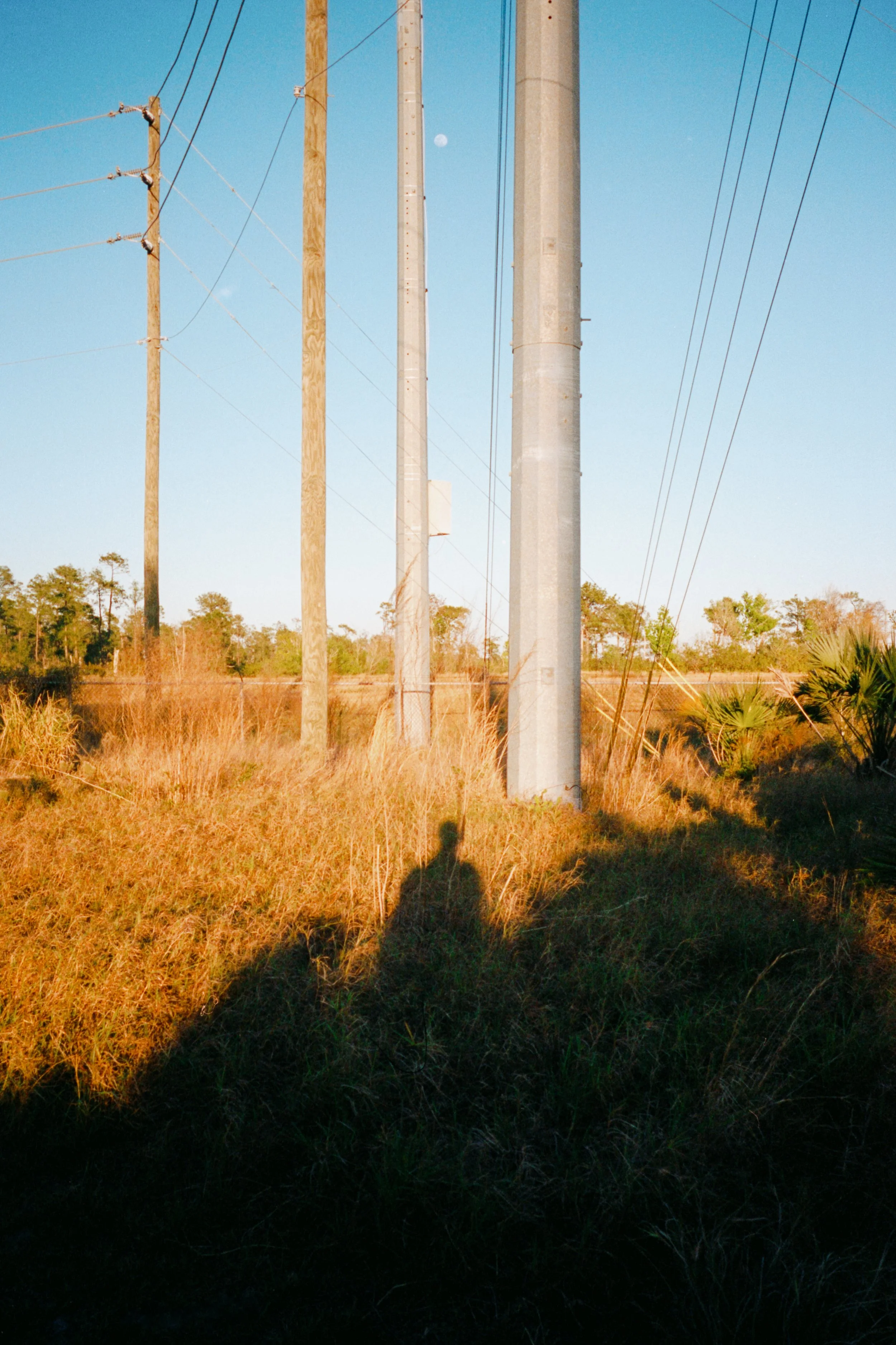 Power lines and poles casting shadows on grassy landscape during sunset, with clear blue sky and trees in the background.