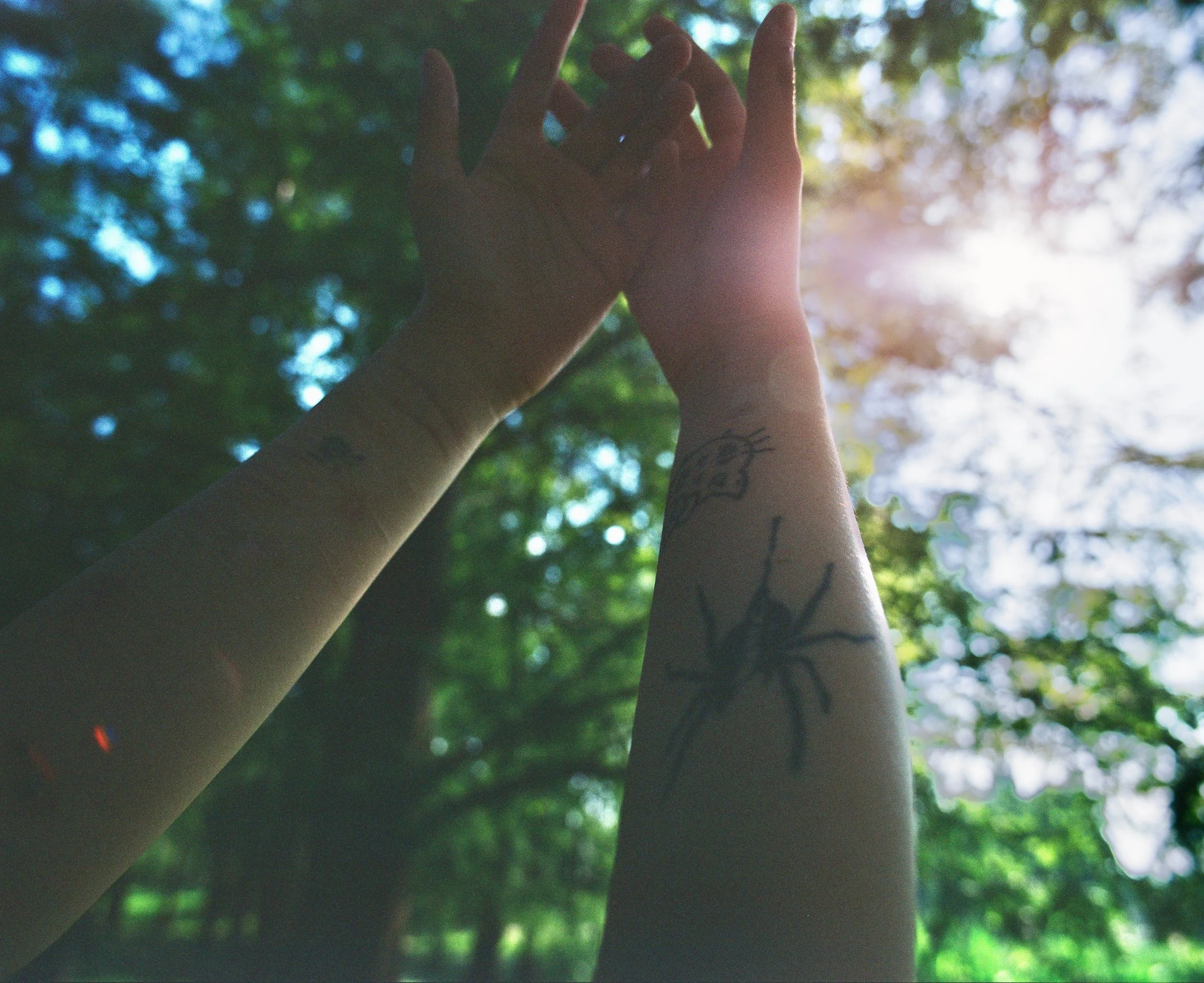 A person with tattoos on their arms holds their hands up towards the sky with trees and sunlight in the background.