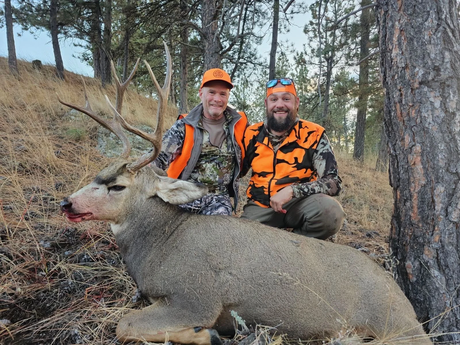 Two hunters posing with a large buck they just hunted in a forested area.