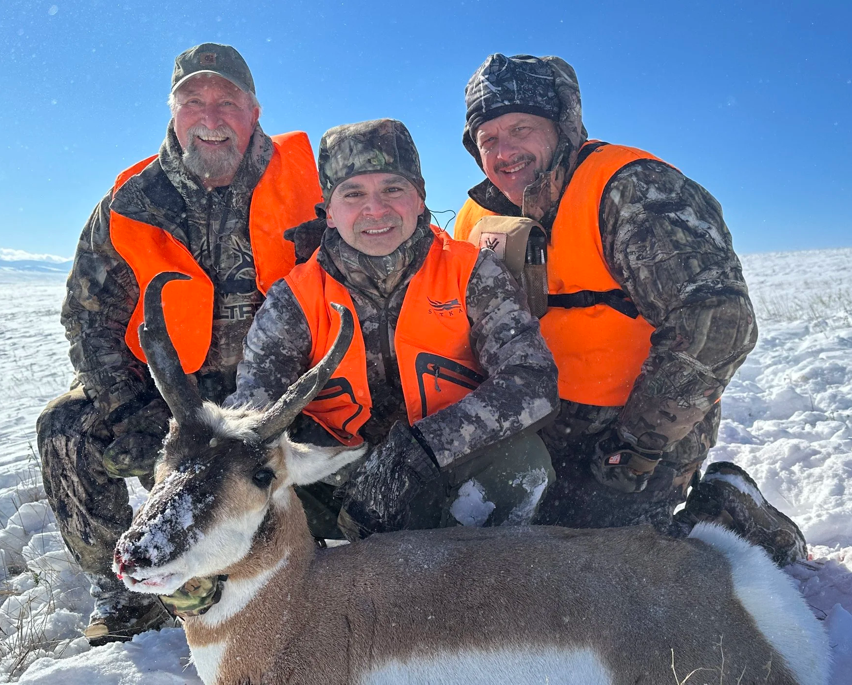 Hunting group has high success rate hunting antelope with thick horns and big curl in horns.