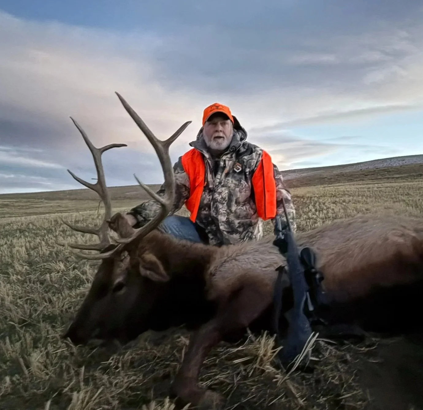 Trophy elk hunting in central Montana with guides at reasonable cost