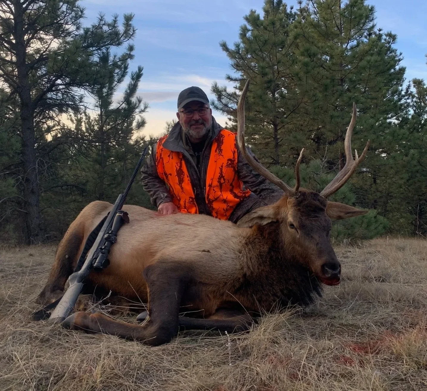 High success rifle hunting for elk in Montana with monster elk at reasonable prices
