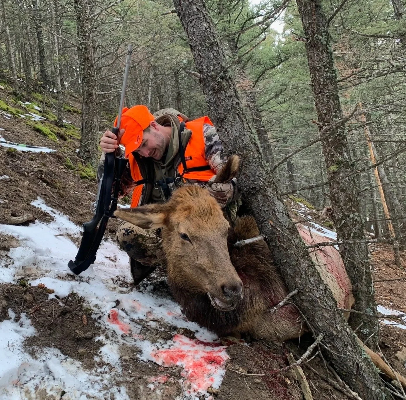 Meat elk hunt fill the freezer with Old Sage Outfitters previously the Musselshell operation of J&J Guide Service