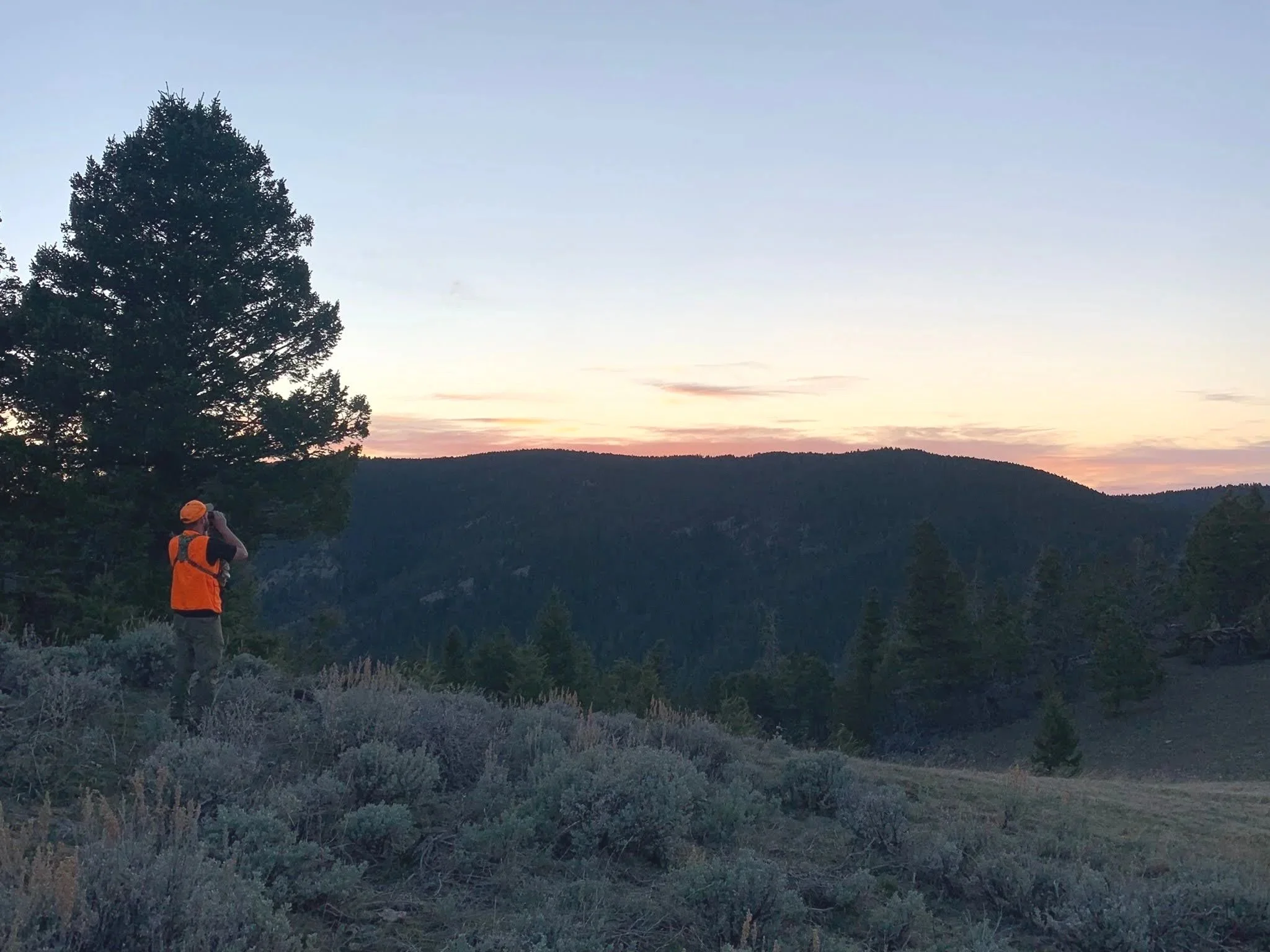 Best guides for hunting in Montana elk, deer, antelope, ducks, geese.