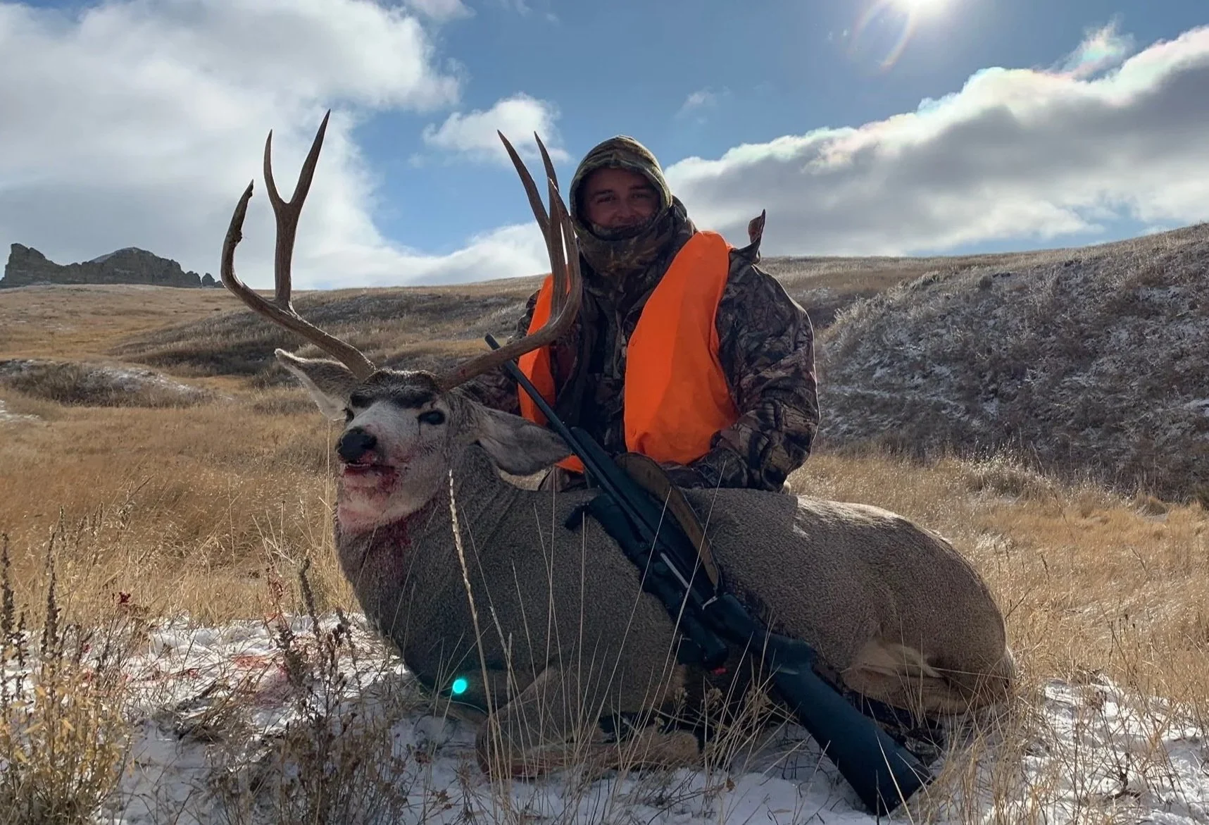 guided mule deer hunt at Old Sage Outfitters in central Montana great hunt with high success and mature deer