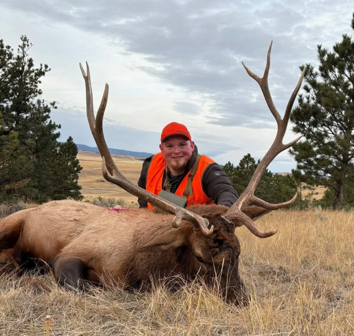 A man in orange hunting gear kneels behind a large elk with impressive antlers lying in a grassy field, with trees and a cloudy sky in the background.