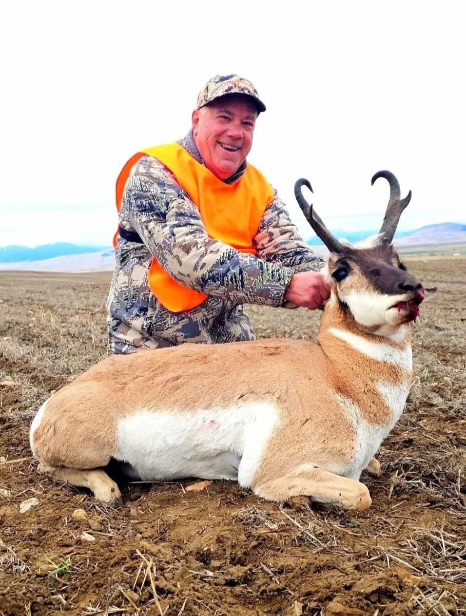 Trophy antelope with high success rate in Montana with Old Sage Outfitters
