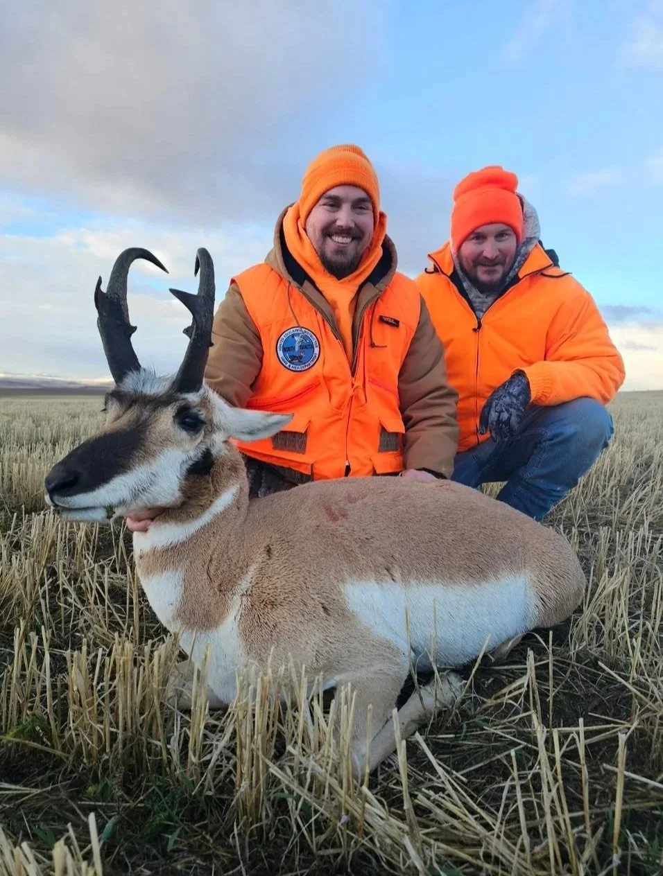 Super high success rate for hunting antelope pronghorn on private land in Montana