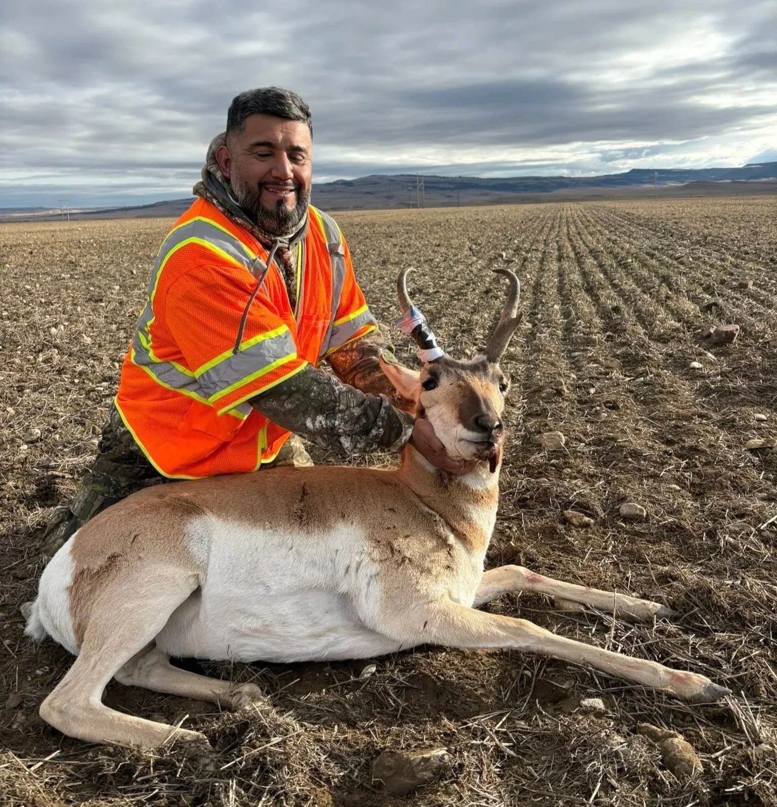 Super high success rate for hunting antelope pronghorn on private land in Montana